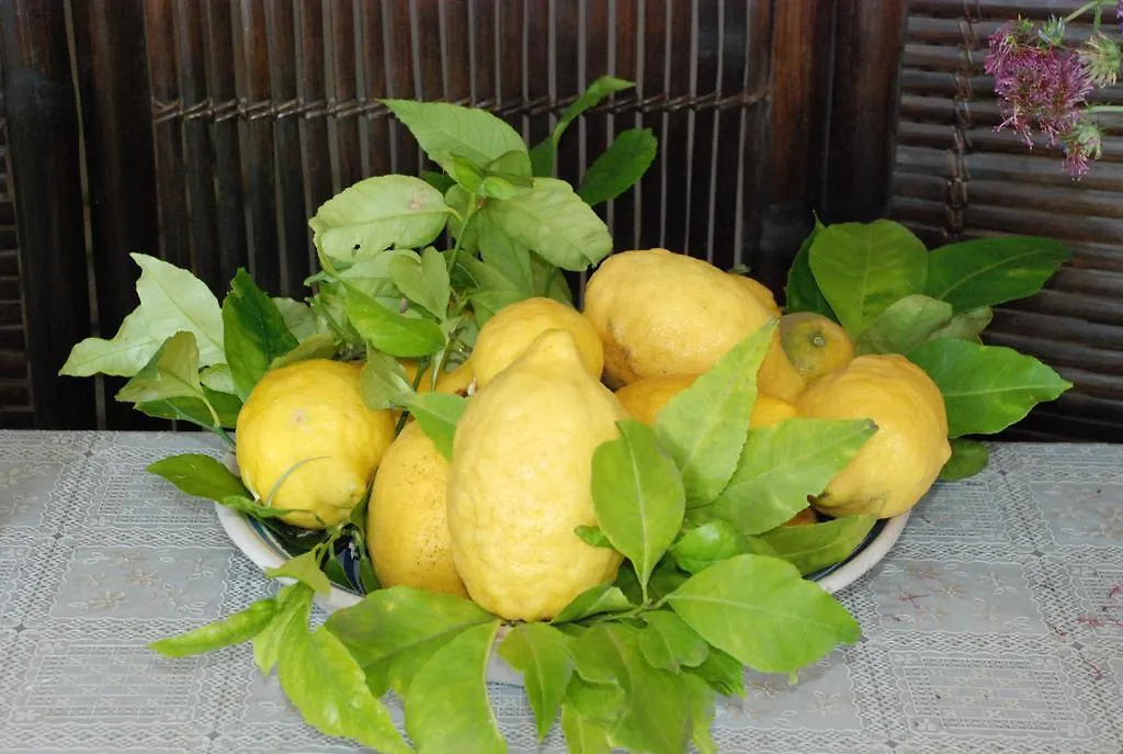 La Casetta Fra I Limoni Panzió Amalfi Olaszország